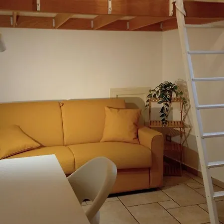 Palmieri Cozy *