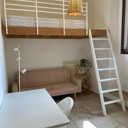 Palmieri Cozy